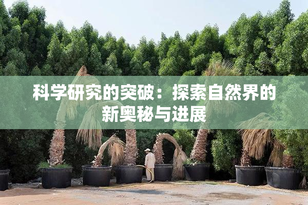 科学研究的突破：探索自然界的新奥秘与进展
