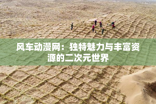 风车动漫网：独特魅力与丰富资源的二次元世界