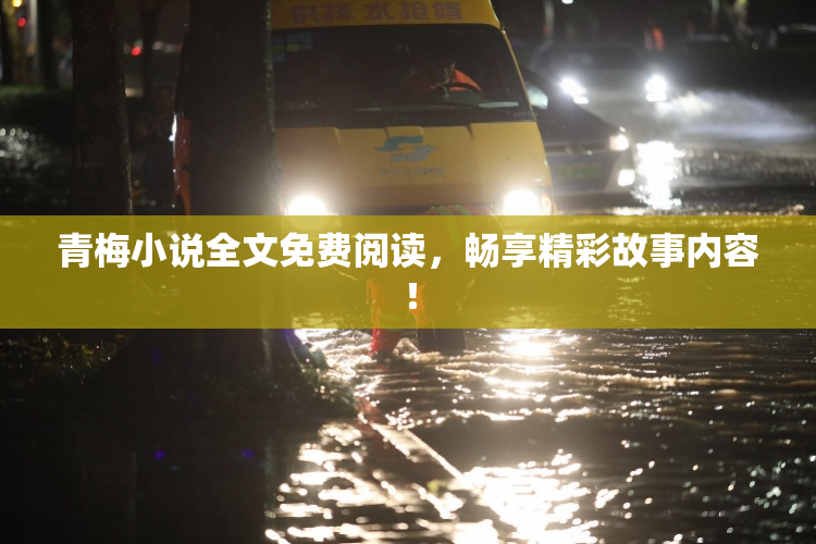 青梅小说全文免费阅读，畅享精彩故事内容！