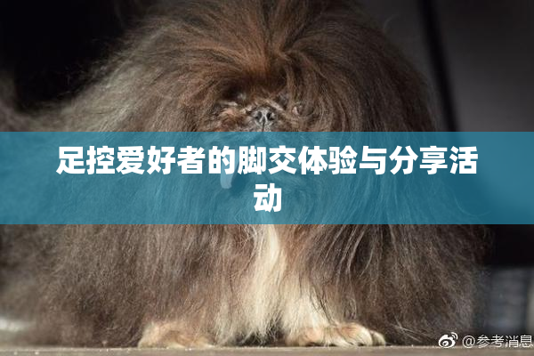 足控爱好者的脚交体验与分享活动