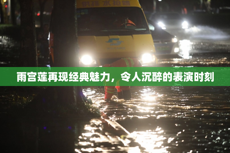雨宫莲再现经典魅力，令人沉醉的表演时刻