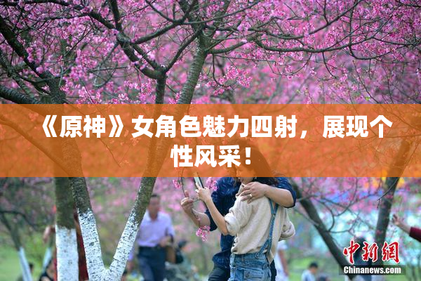 《原神》女角色魅力四射，展现个性风采！