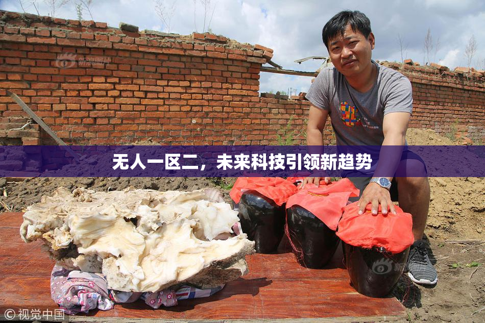 无人一区二，未来科技引领新趋势