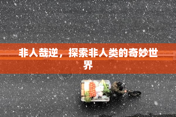 非人哉逆，探索非人类的奇妙世界