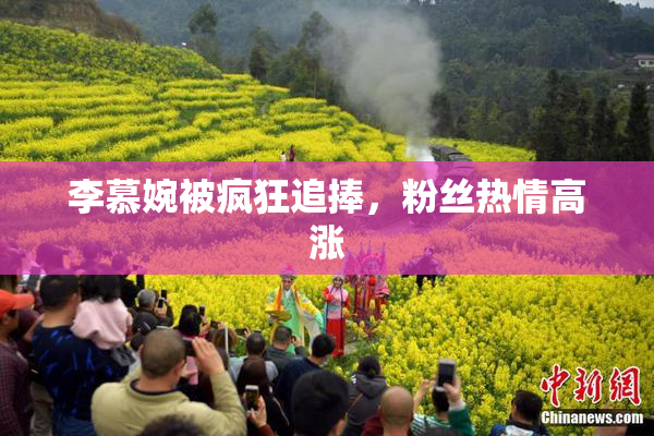 李慕婉被疯狂追捧，粉丝热情高涨