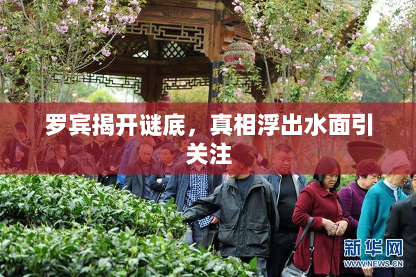 罗宾揭开谜底，真相浮出水面引关注