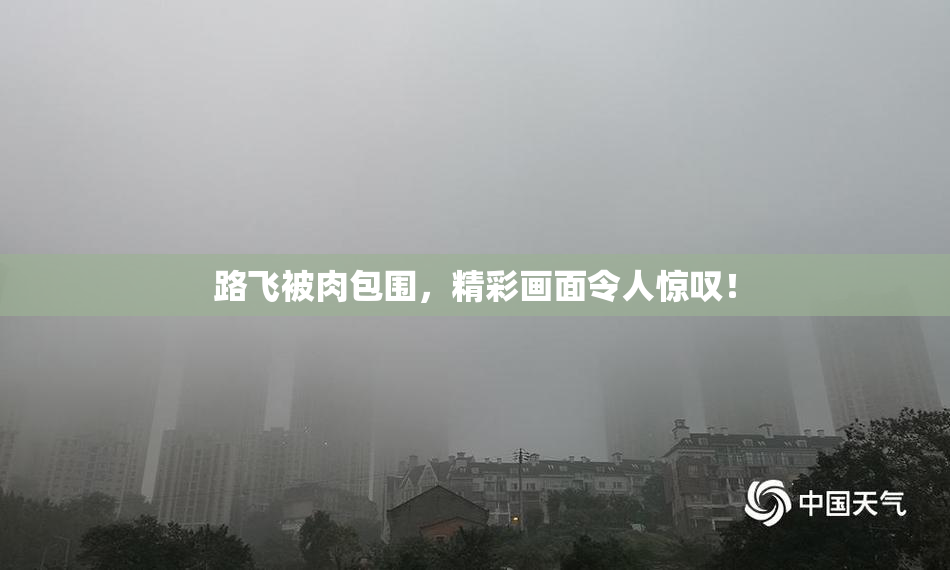 路飞被肉包围，精彩画面令人惊叹！