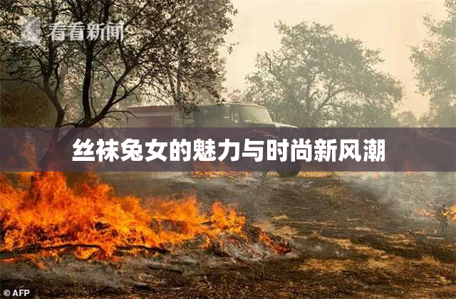 丝袜兔女的魅力与时尚新风潮