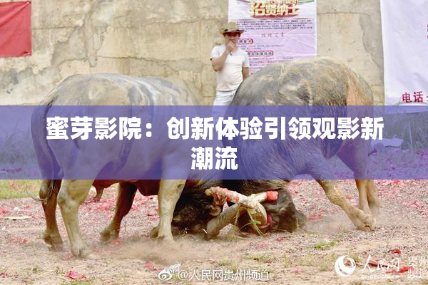 蜜芽影院：创新体验引领观影新潮流