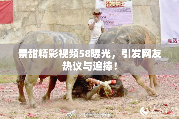 景甜精彩视频58曝光，引发网友热议与追捧！