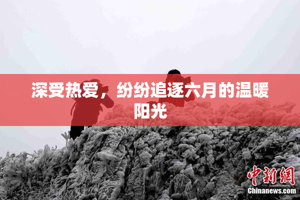 深受热爱，纷纷追逐六月的温暖阳光