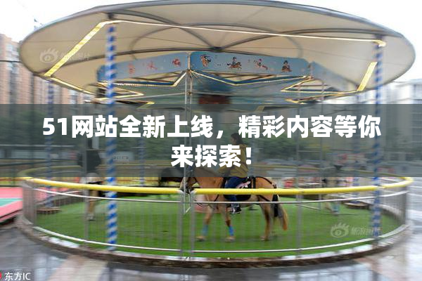 51网站全新上线，精彩内容等你来探索！