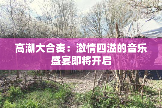 高潮大合奏：激情四溢的音乐盛宴即将开启