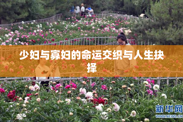 少妇与寡妇的命运交织与人生抉择