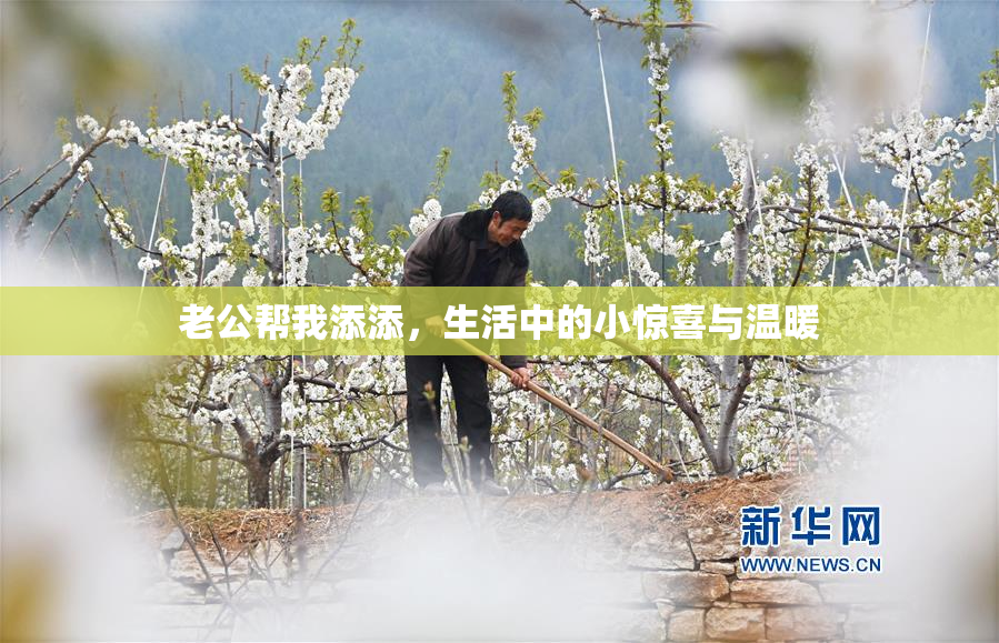 老公帮我添添，生活中的小惊喜与温暖