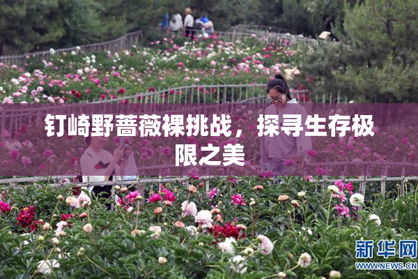 钉崎野蔷薇裸挑战，探寻生存极限之美