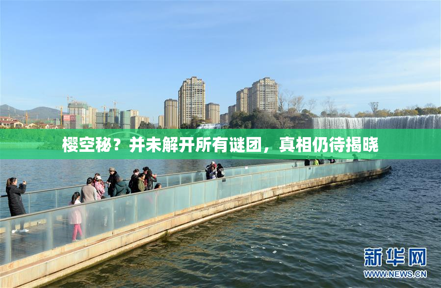 樱空秘？并未解开所有谜团，真相仍待揭晓