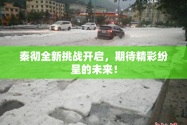 秦彻全新挑战开启，期待精彩纷呈的未来！