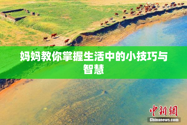 妈妈教你掌握生活中的小技巧与智慧