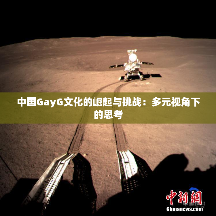 中国GayG文化的崛起与挑战：多元视角下的思考