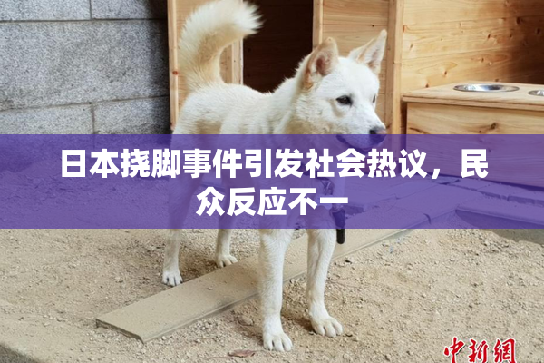 日本挠脚事件引发社会热议，民众反应不一