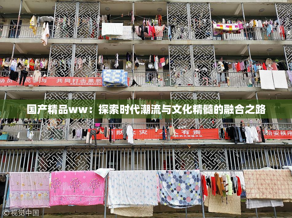 国产精品ww：探索时代潮流与文化精髓的融合之路