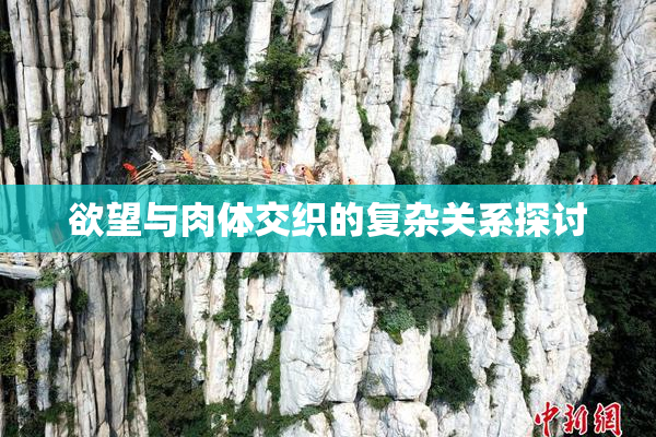 欲望与肉体交织的复杂关系探讨