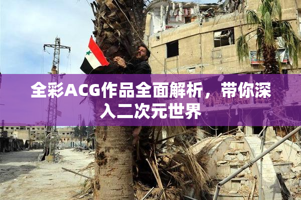 全彩ACG作品全面解析，带你深入二次元世界
