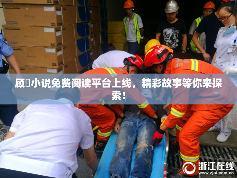 顾嫚小说免费阅读平台上线，精彩故事等你来探索！
