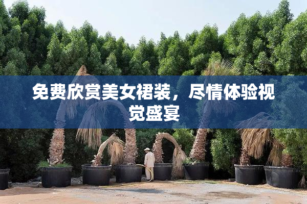 免费欣赏美女裙装，尽情体验视觉盛宴