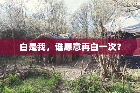 白是我，谁愿意再白一次？