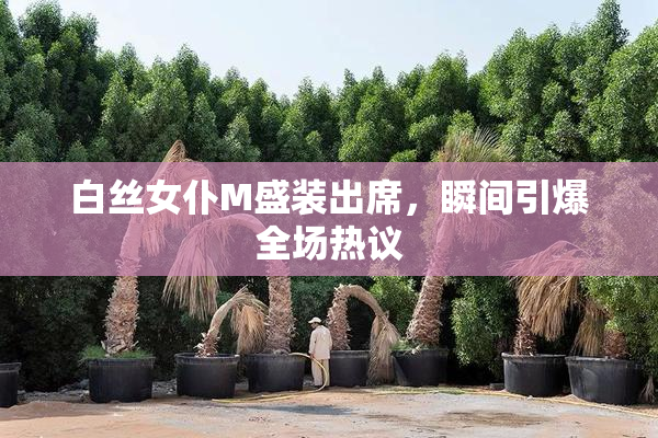 白丝女仆M盛装出席，瞬间引爆全场热议