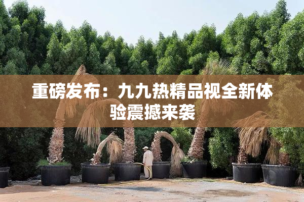 重磅发布：九九热精品视全新体验震撼来袭