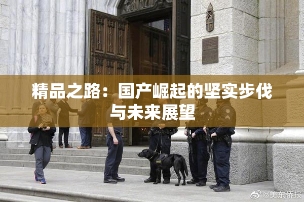 精品之路：国产崛起的坚实步伐与未来展望