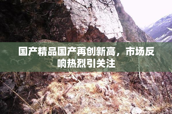 国产精品国产再创新高，市场反响热烈引关注