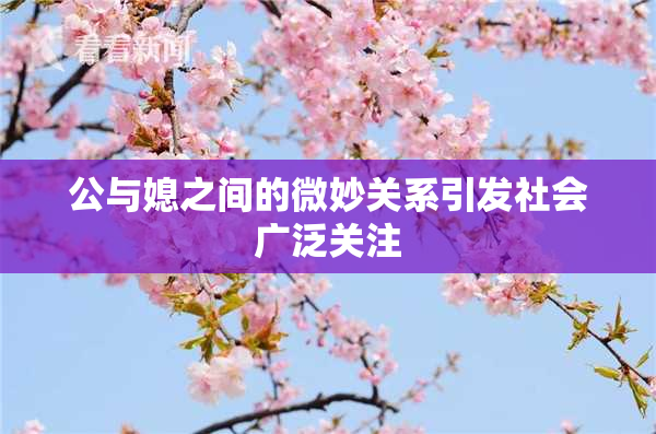公与媳之间的微妙关系引发社会广泛关注