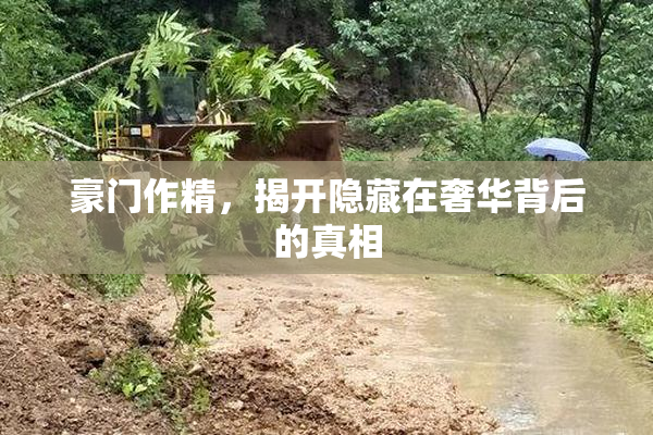 豪门作精，揭开隐藏在奢华背后的真相