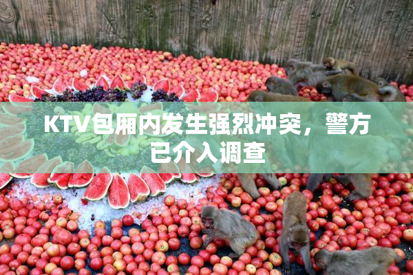 KTV包厢内发生强烈冲突，警方已介入调查
