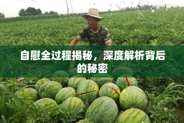 自慰全过程揭秘，深度解析背后的秘密