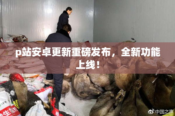 p站安卓更新重磅发布，全新功能上线！