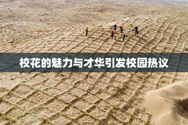 校花的魅力与才华引发校园热议