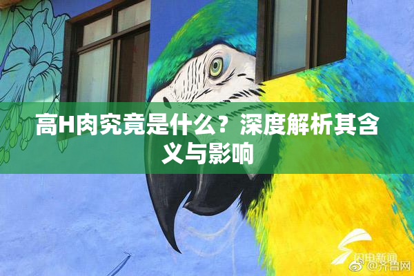 高H肉究竟是什么？深度解析其含义与影响