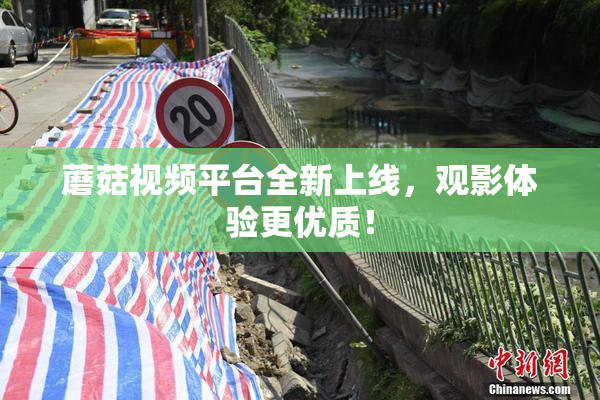蘑菇视频平台全新上线，观影体验更优质！