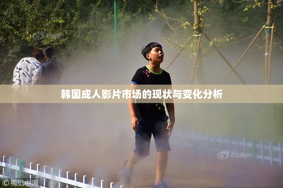 韩国成人影片市场的现状与变化分析