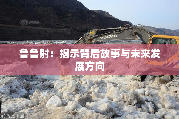 鲁鲁射：揭示背后故事与未来发展方向