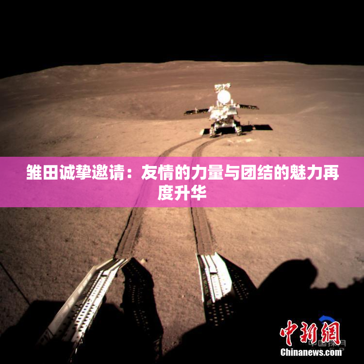 雏田诚挚邀请：友情的力量与团结的魅力再度升华