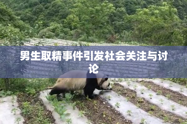 男生取精事件引发社会关注与讨论