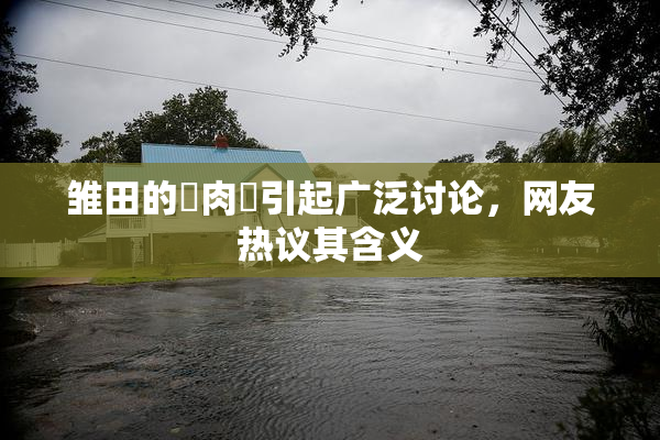 雏田的婬肉泬引起广泛讨论，网友热议其含义