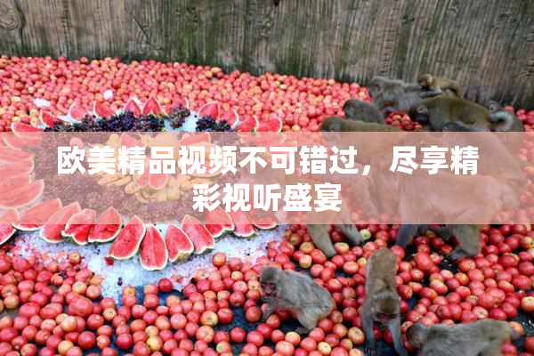 欧美精品视频不可错过，尽享精彩视听盛宴