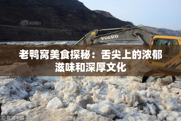 老鸭窝美食探秘：舌尖上的浓郁滋味和深厚文化